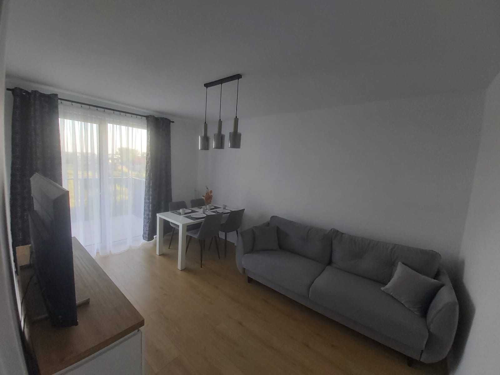 Apartament noclegi