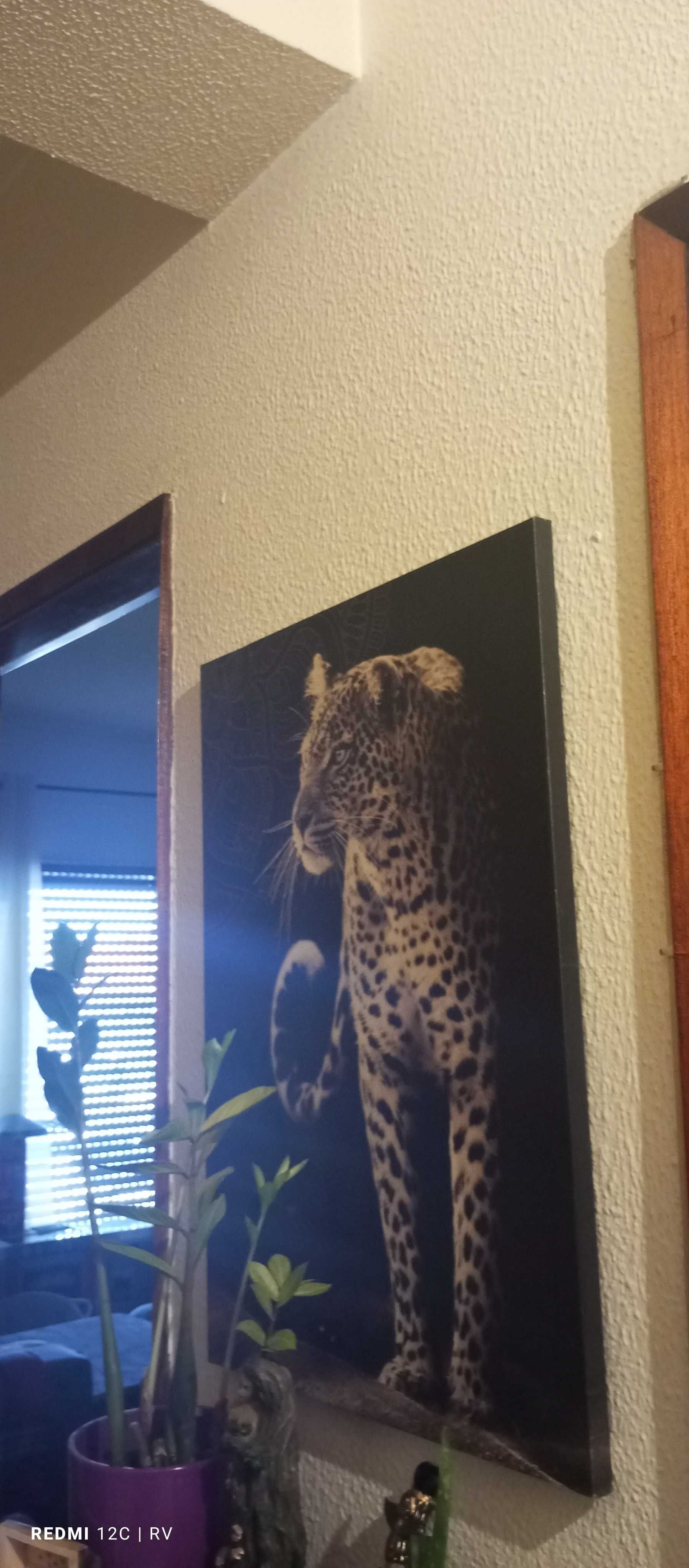 Quadro lindíssimo