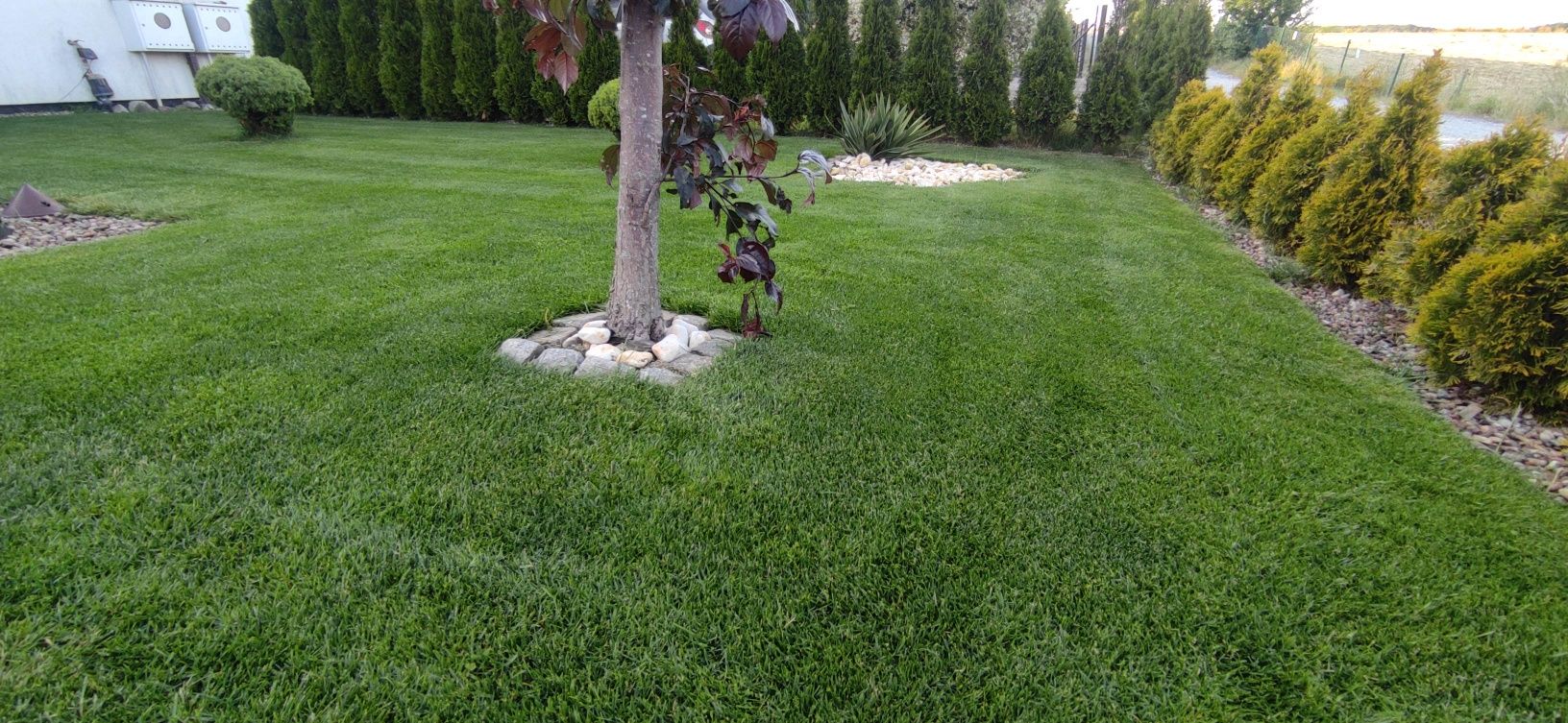 Trawnik expert -GreenKeeper renowacja i pielegnacja trawnika
