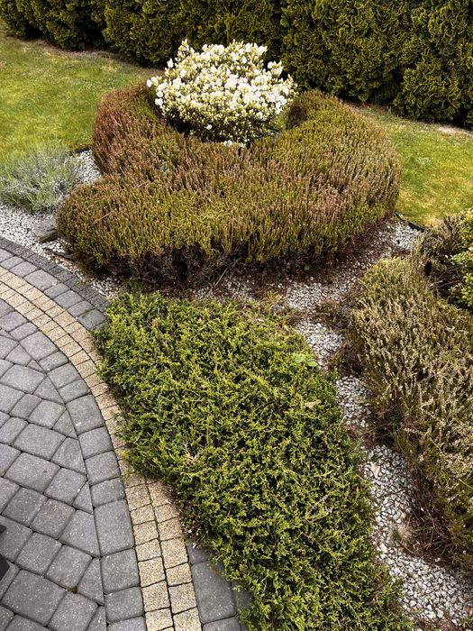 Koszenie i obsługa terenów zielonych