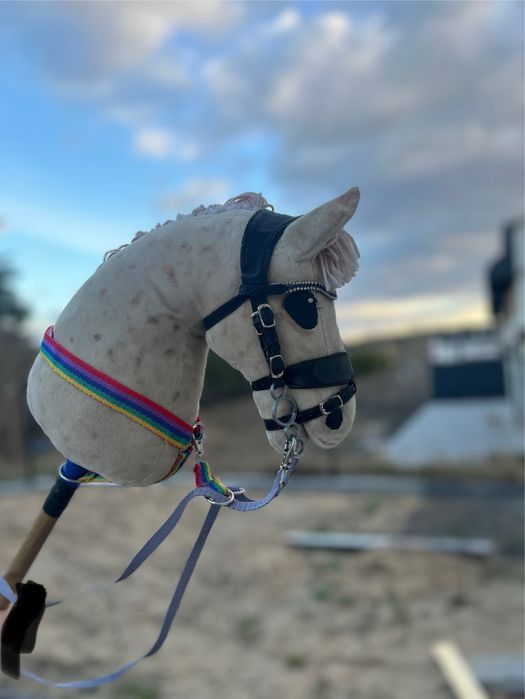 Piękny hobby horse