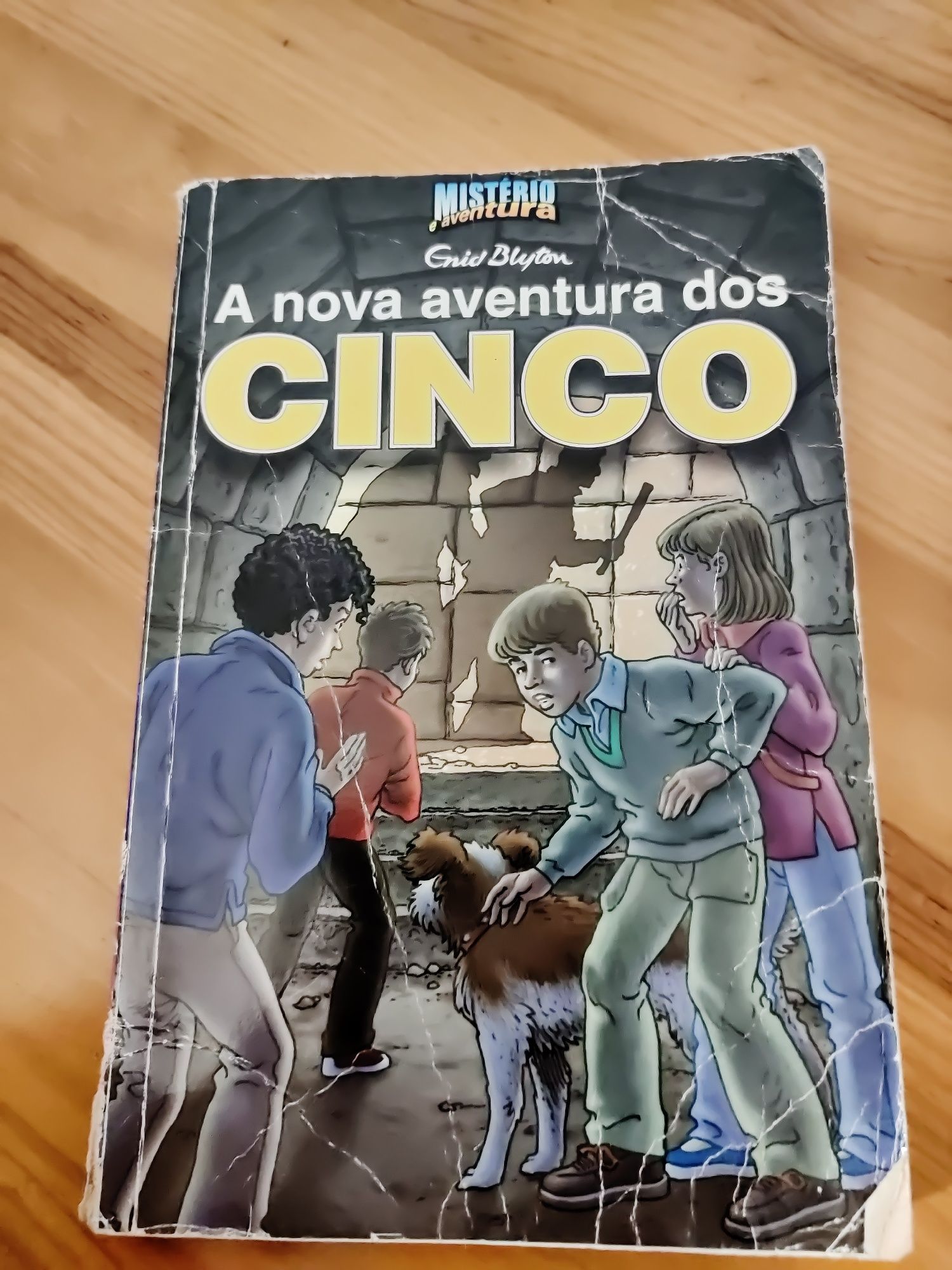 A nova aventura dos cinco