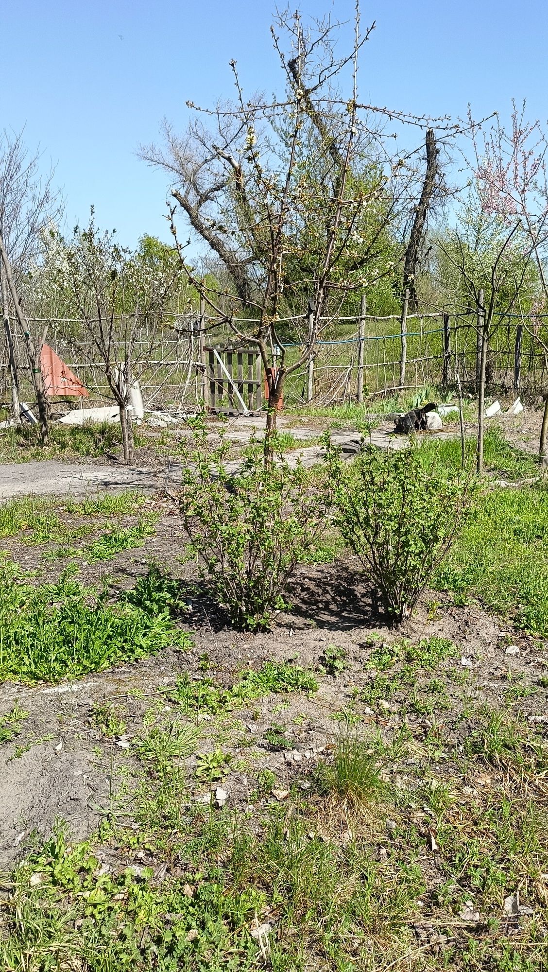 Продам земельну ділянку ,центр міста