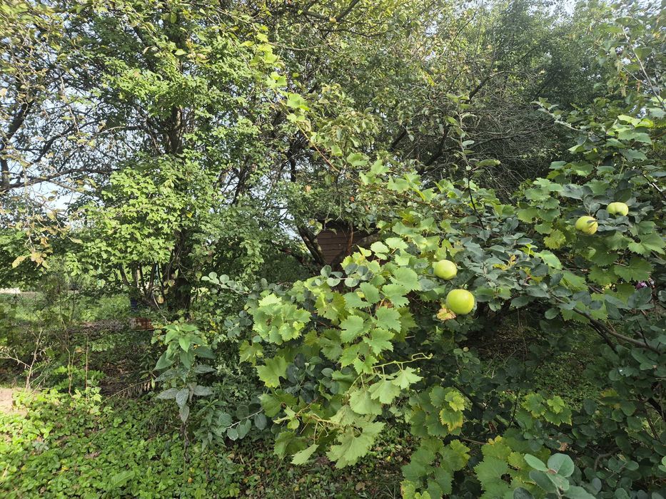 Atrakcyjna działka z możliwością budowy Nowy Krępiec koło Świdnika