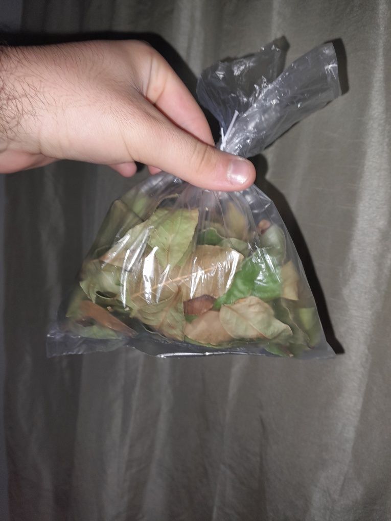 Sacos de louro pequenos e grandes