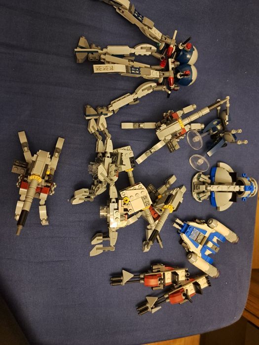 Rezerwacja dla pajmon31