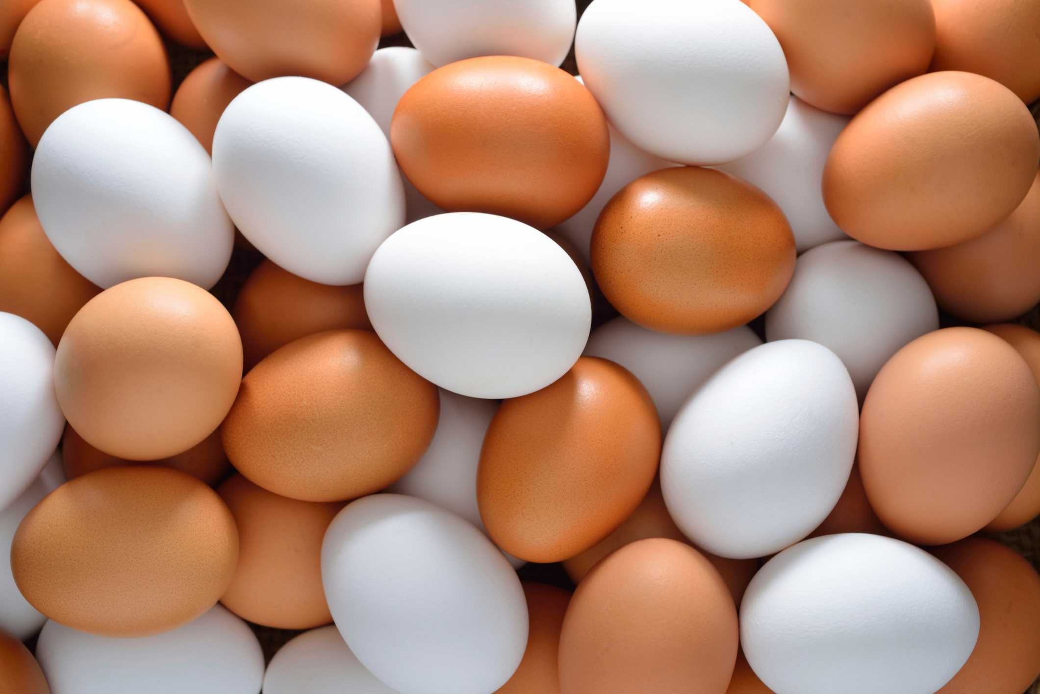 ŚWIEŻE JAJKA, Hurt Jajek, Jajka Ekologiczne, Miód Naturalny — Dostawa