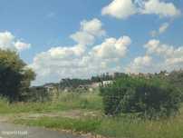 Terreno Urbano com 9.840 m² no Centro de Águeda