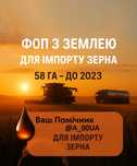 ФОП под імпорт зерна 2022 до 2023 року. Вінниця Земля — 58 га,