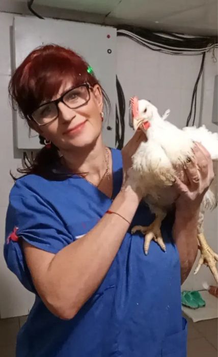 Бройлер Живий Екологічний