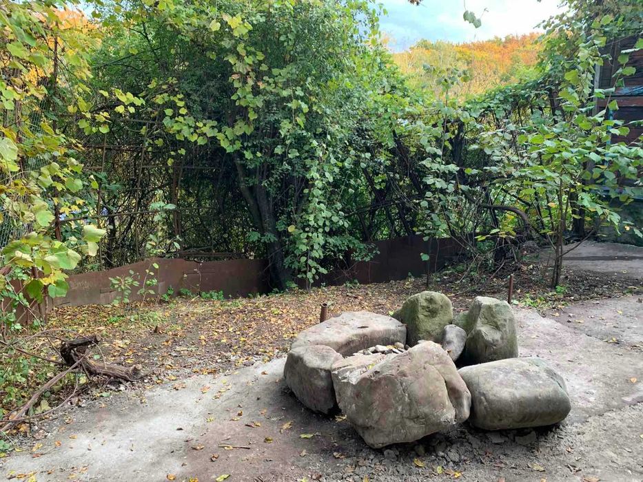 Гараж з ямою і електрикою у ГК «Пасічник»