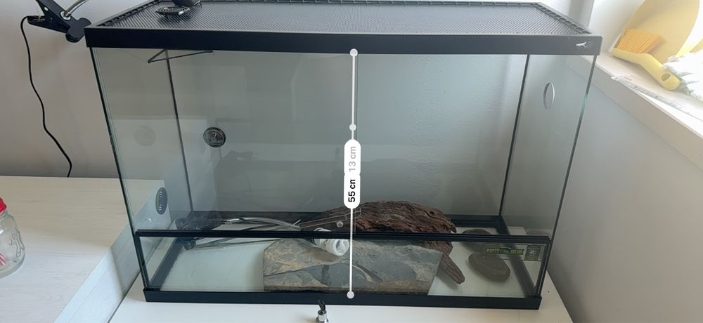 Terráreo para repteis completo