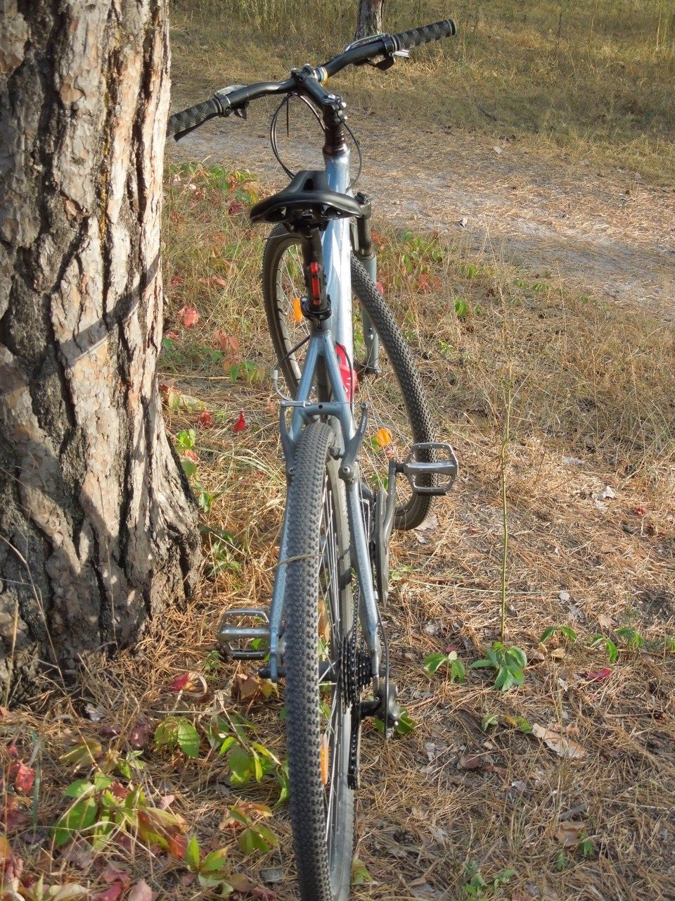 Велосипед универсальный Bergamont