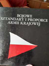 Bojowe sztandary i proporce AK. Marek Ney-Krwawicz i Maciej Siemaszko.