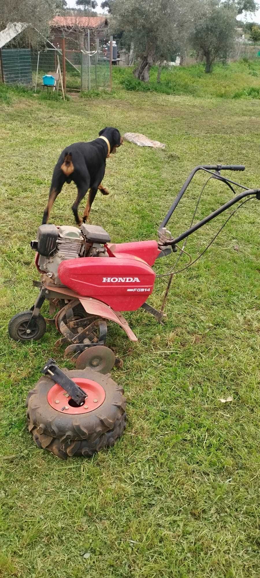Motoenxada Honda CG135