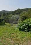 Terreno  para venda