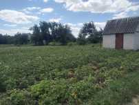 Дача в Степанівка..