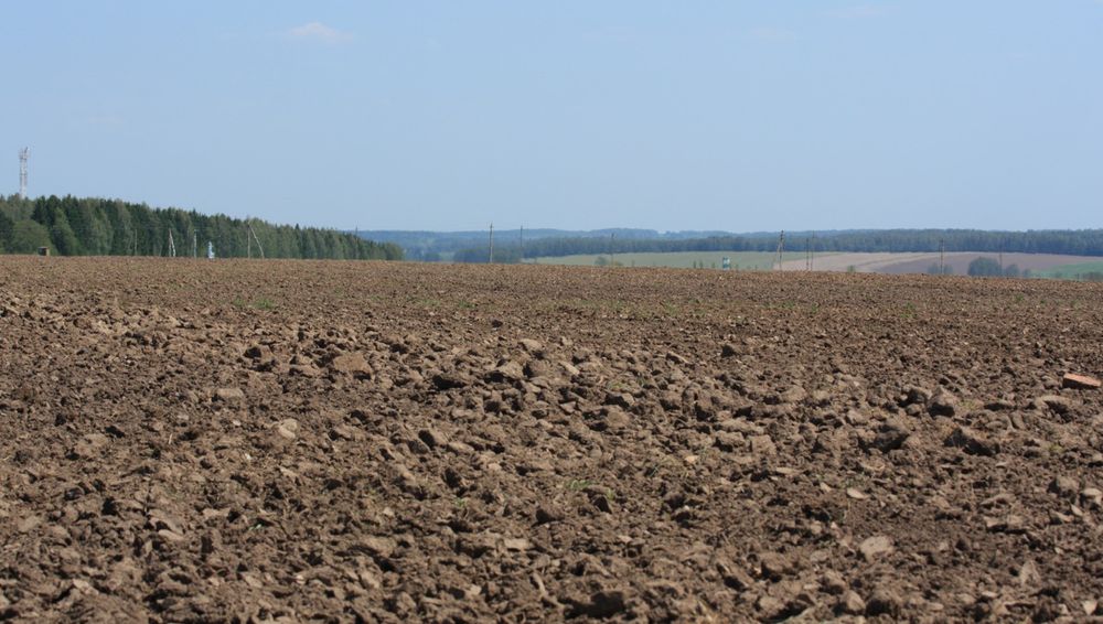 Земля сільськогосподарського призначення