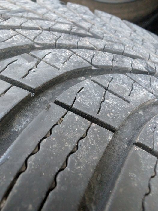 Opony całoroczne 205/55R16 Dębica