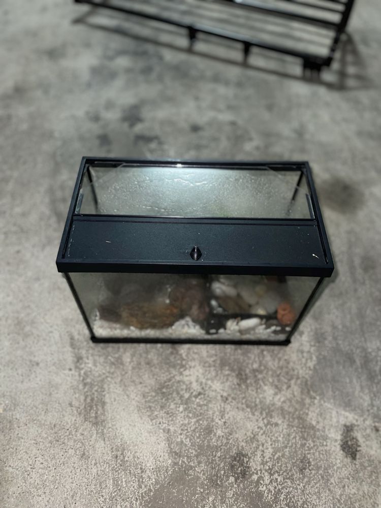 Aquário para peixe