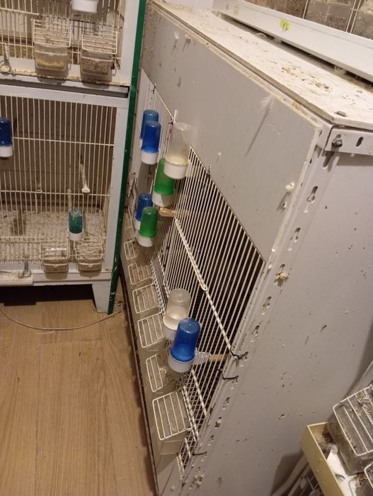 Viveiros PVC voadeiras