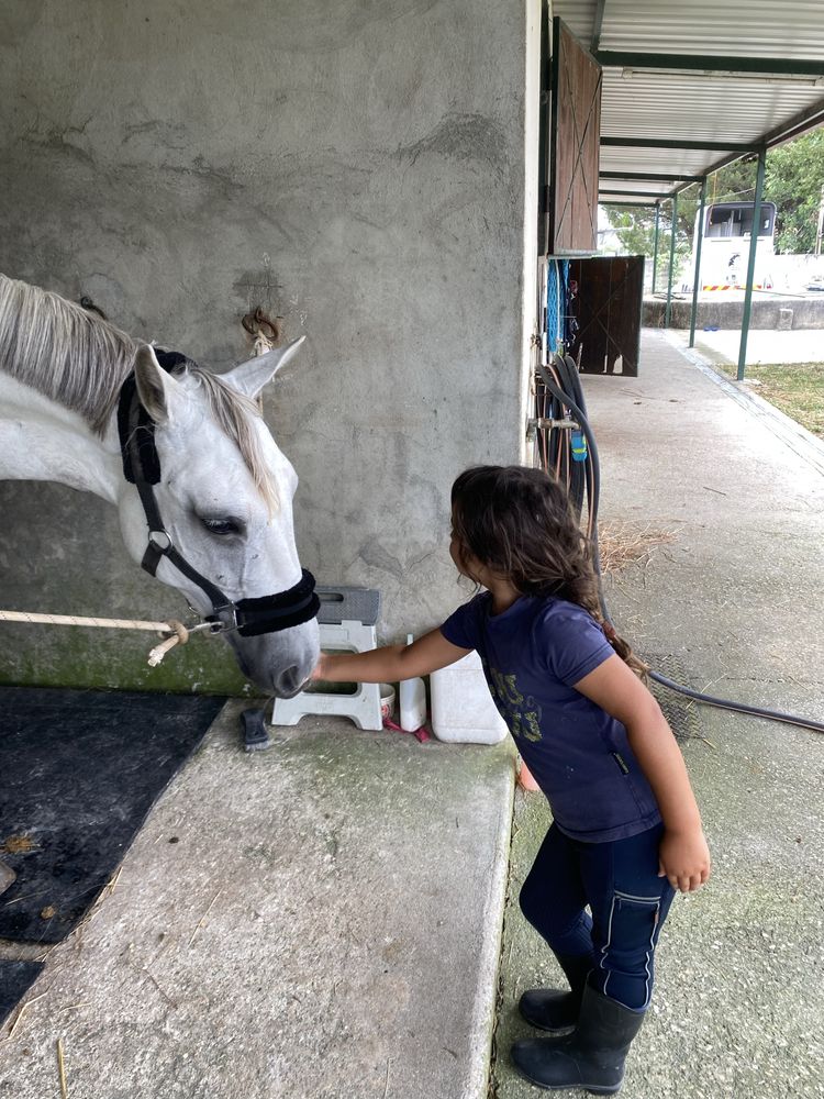 Batismos e passeios a cavalos
