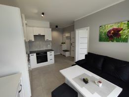 Wynajmę mieszkanie 2 pokojowe Strzelin