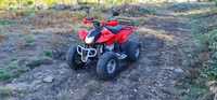 Moto 4 Eagle 250cc