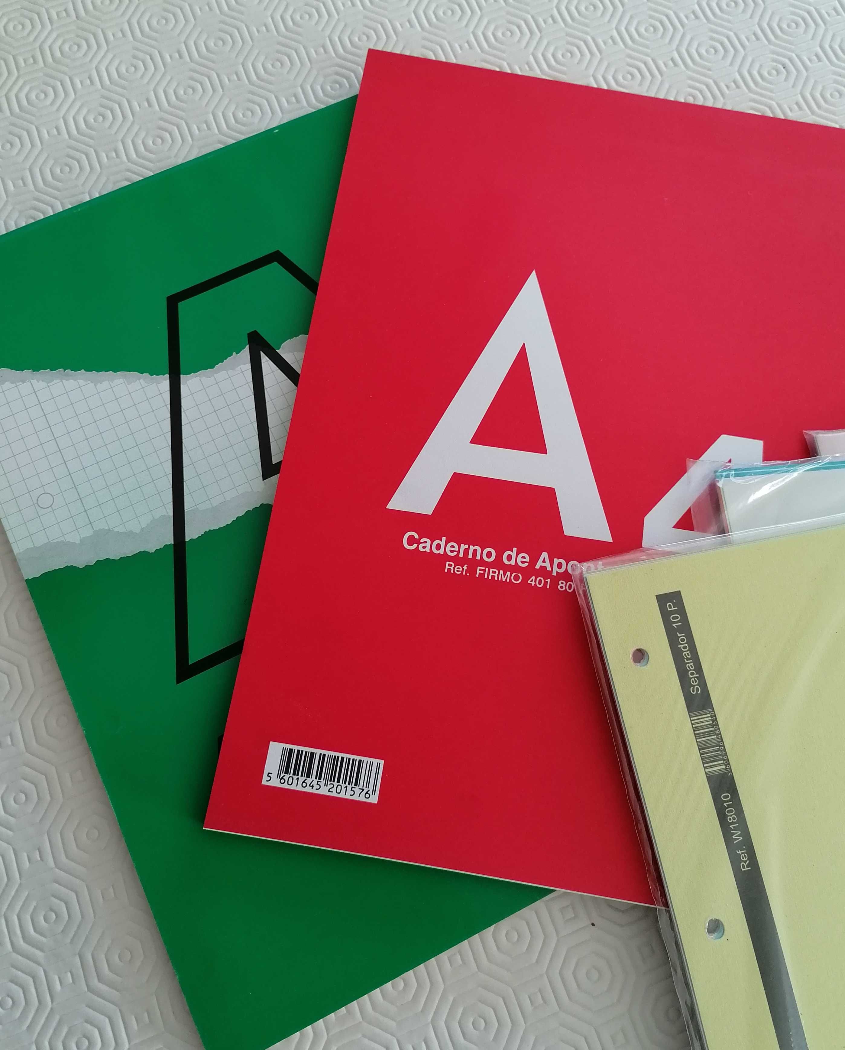 Blocos A4, linha e quadriculado, mais separadores, lote por 5€