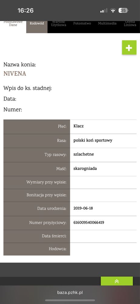 Sprzedam/zamienie klacz