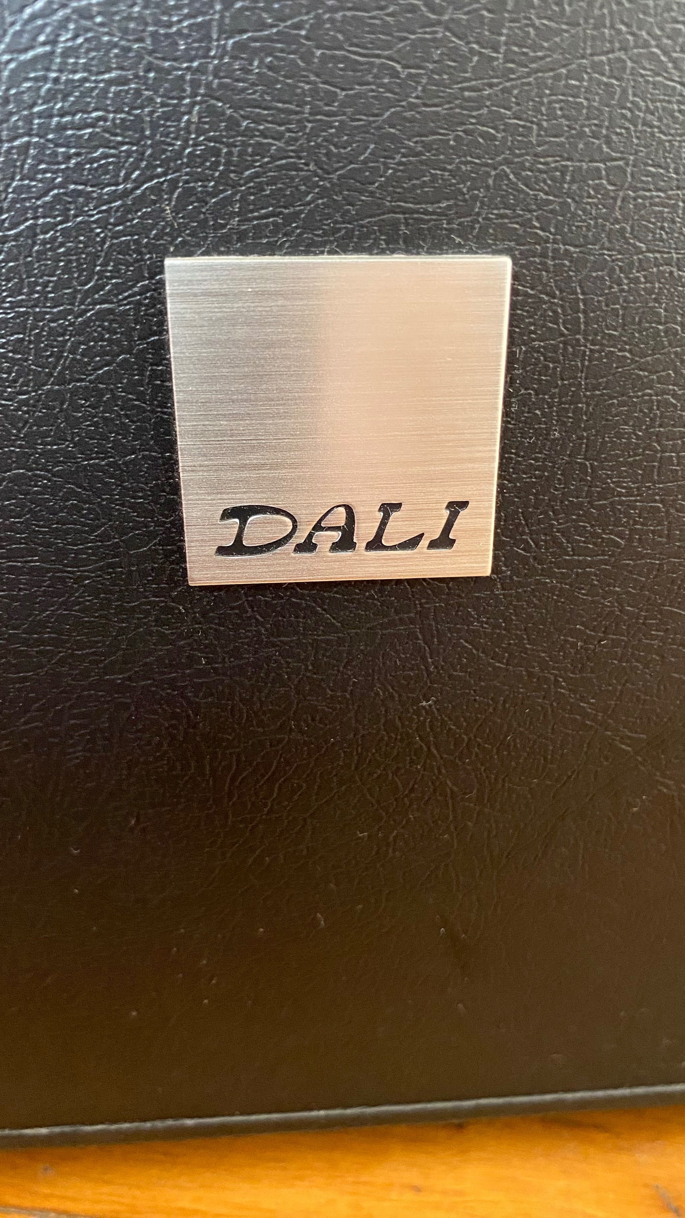 Colunas de Som Dali Spektor 6