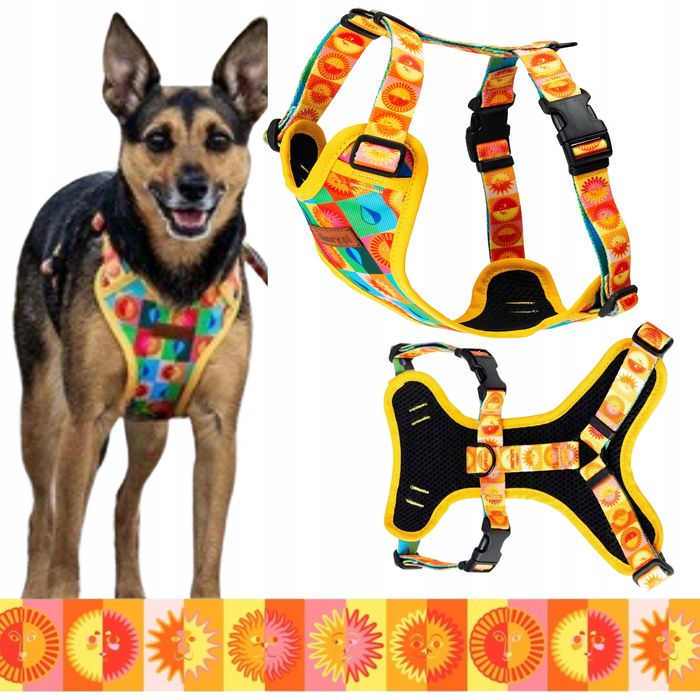 wygodne szelki bezuciskowe puszorek dla psa teriera s 20 mm  kolorowe