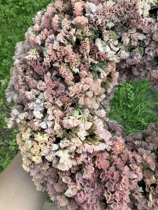 Wianek z naturalnych suszonych kwiatow