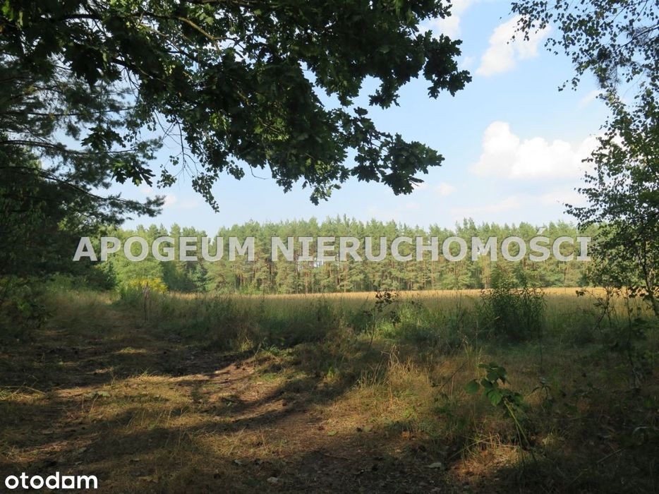 Piękna działka - Ciasne gm. Supraśl