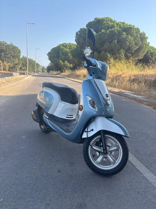 Scooter Fiddle  50c