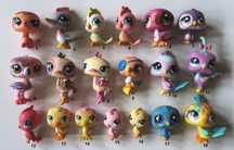 Ptak ptaszek papuga gołąb tukan Littlest Pet Shop LPS