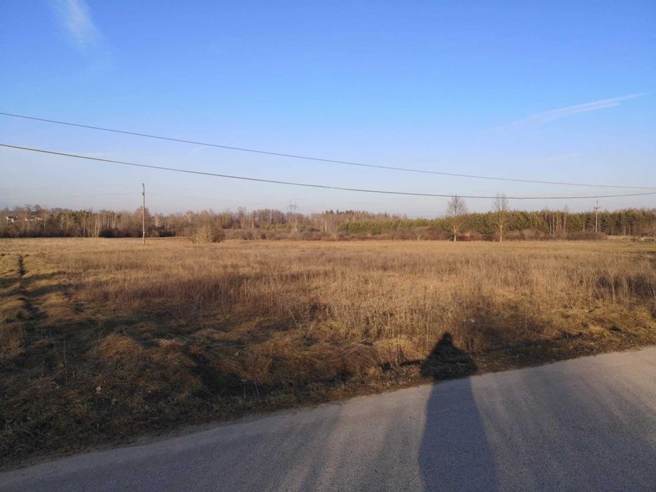 Działka Gałęzice Piekoszów 3000 m2