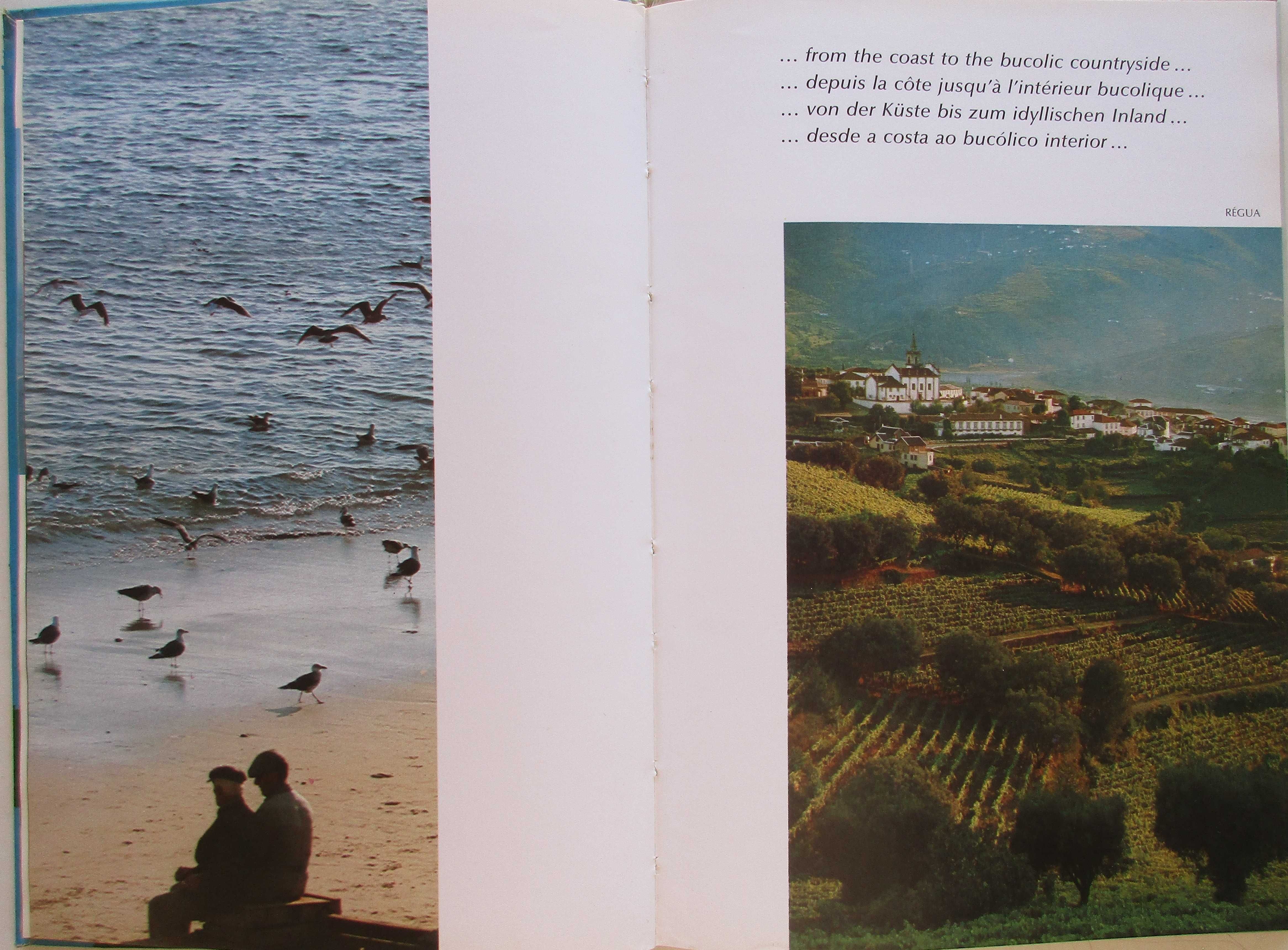 Asta de Almeida d'Eça - - - Portugal - - - - - Livro