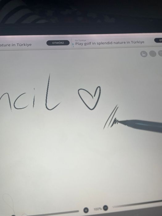 Oryginalny rysik Apple Pencil (1. generacji) do iPad Pro / iPad Air