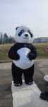 Panda kostium nowy