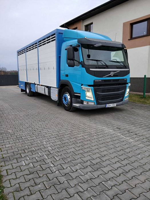 Volvo Fm 410 do przewozu żywych zwierząt bydła żywca waga żywcówka