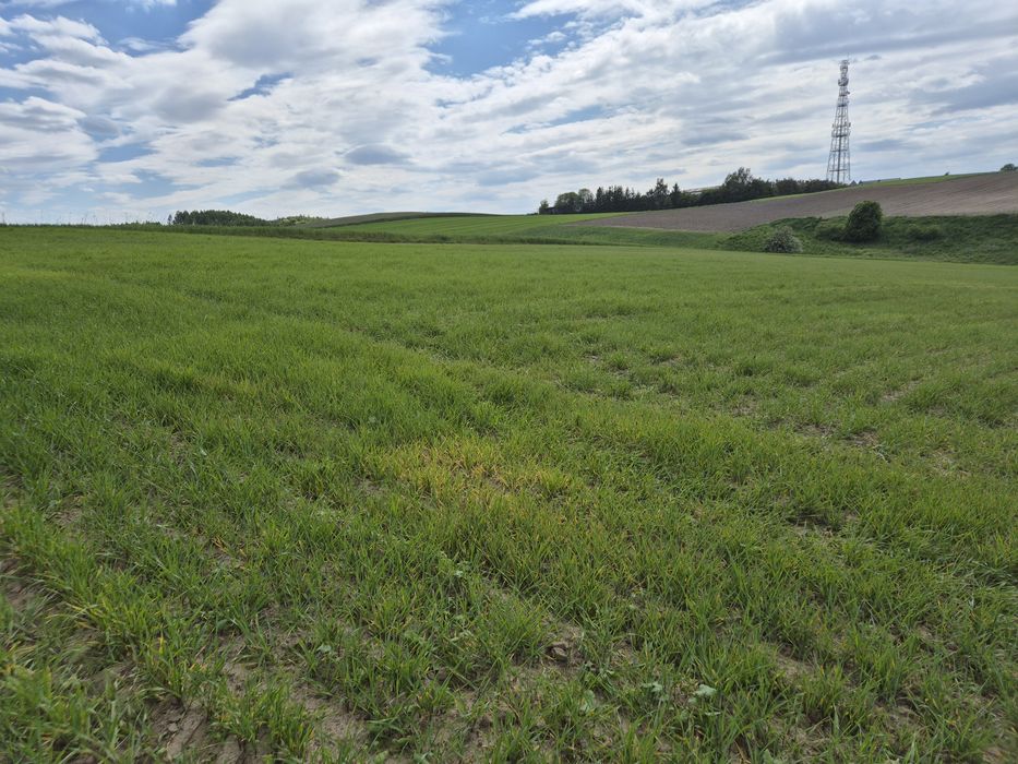 Ziemia rolna pod siedlisko lub zabudowę