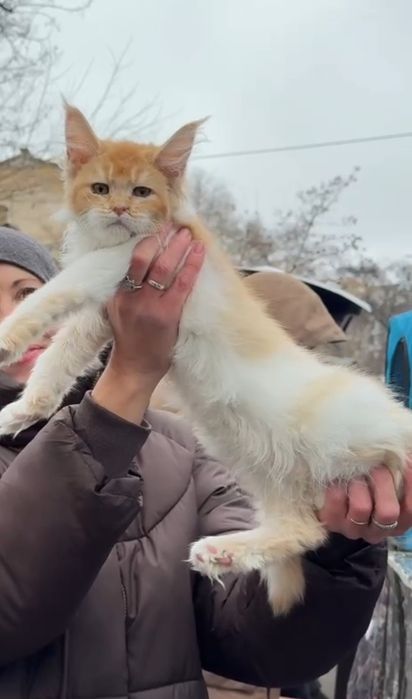 Шикарная девочка с документами