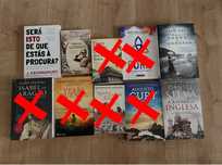 Lote de Livros em Português