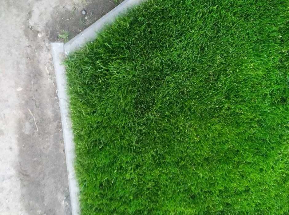 Trawnik od 7zł regeneracja renowacja dosiew wgłębny trawy odnowa trawy
