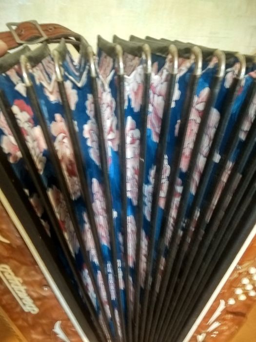 Гармонь Беларусь