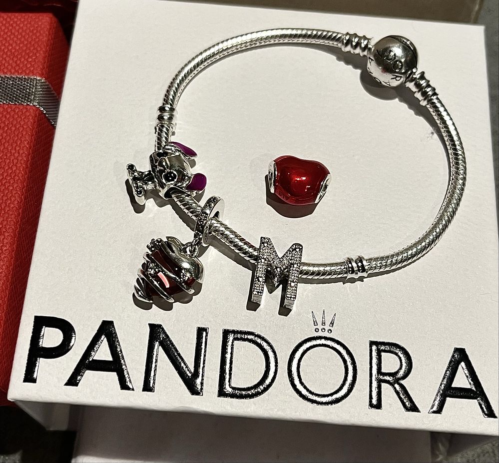 Bransoletka Pandora srebro 925 do charms