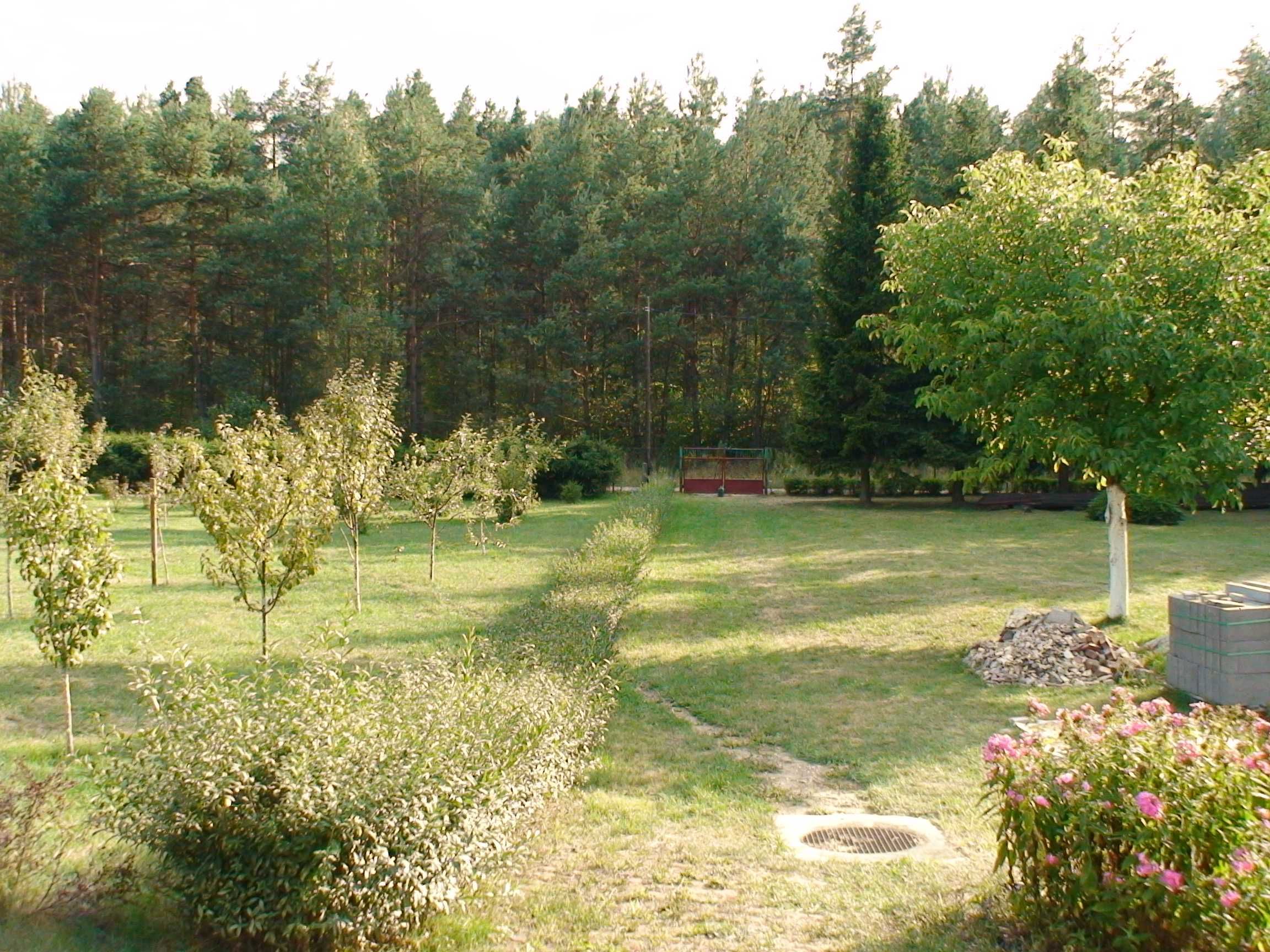 Domek do wynajęcia na Jurze Krakowsko Częstochowskiej