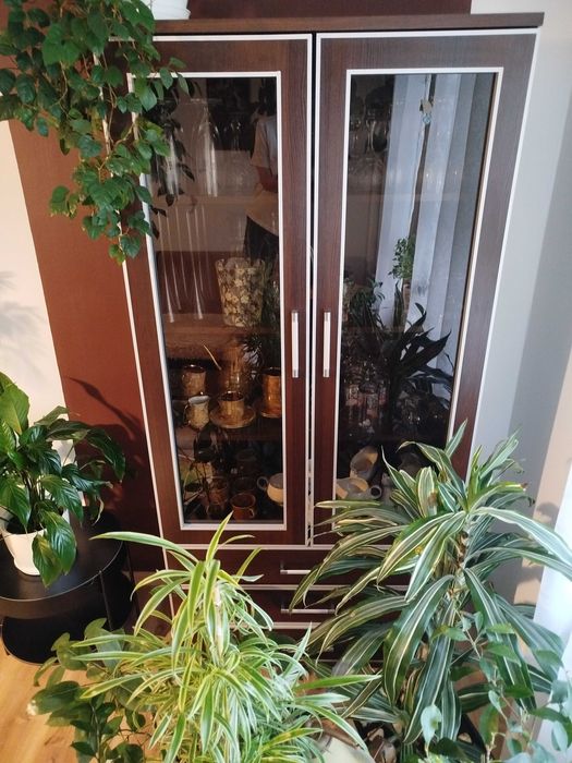 Zestaw mebli: komoda, witryna, biblioteczka