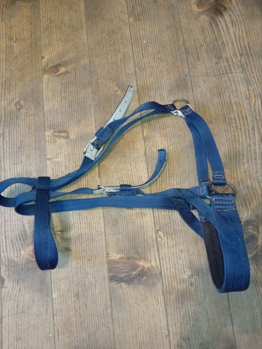 Контари для коней